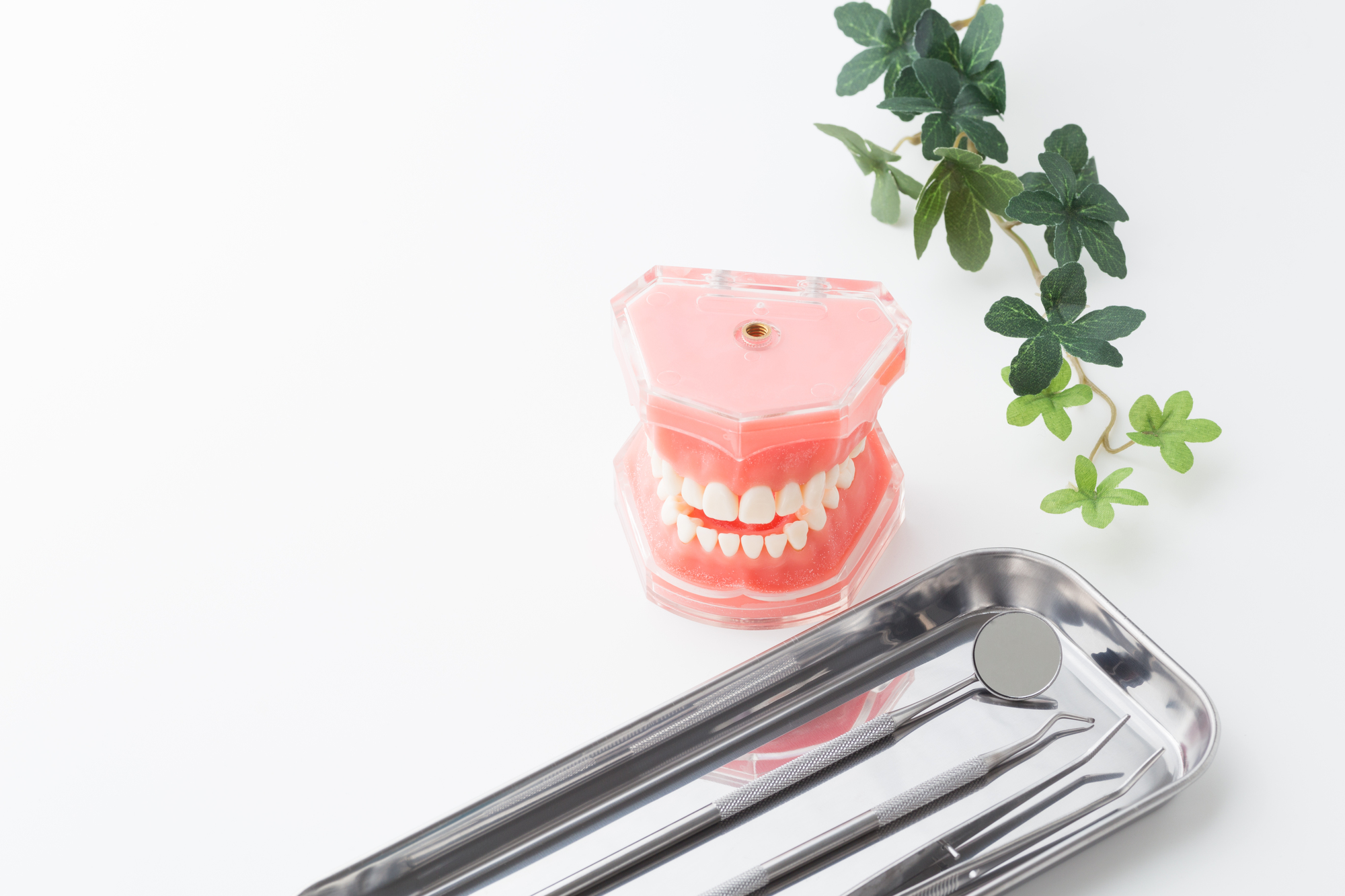 歯科の道具の写真